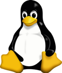 /